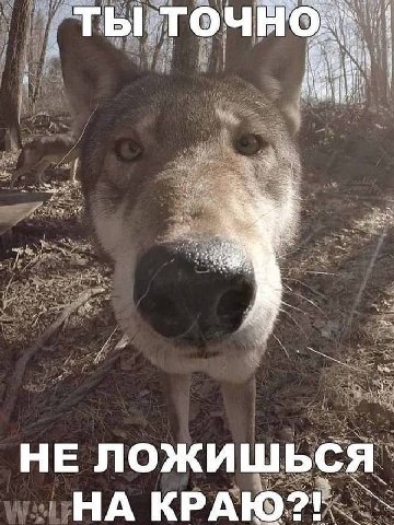 ТЫ 2 HE НА КРАЮ?