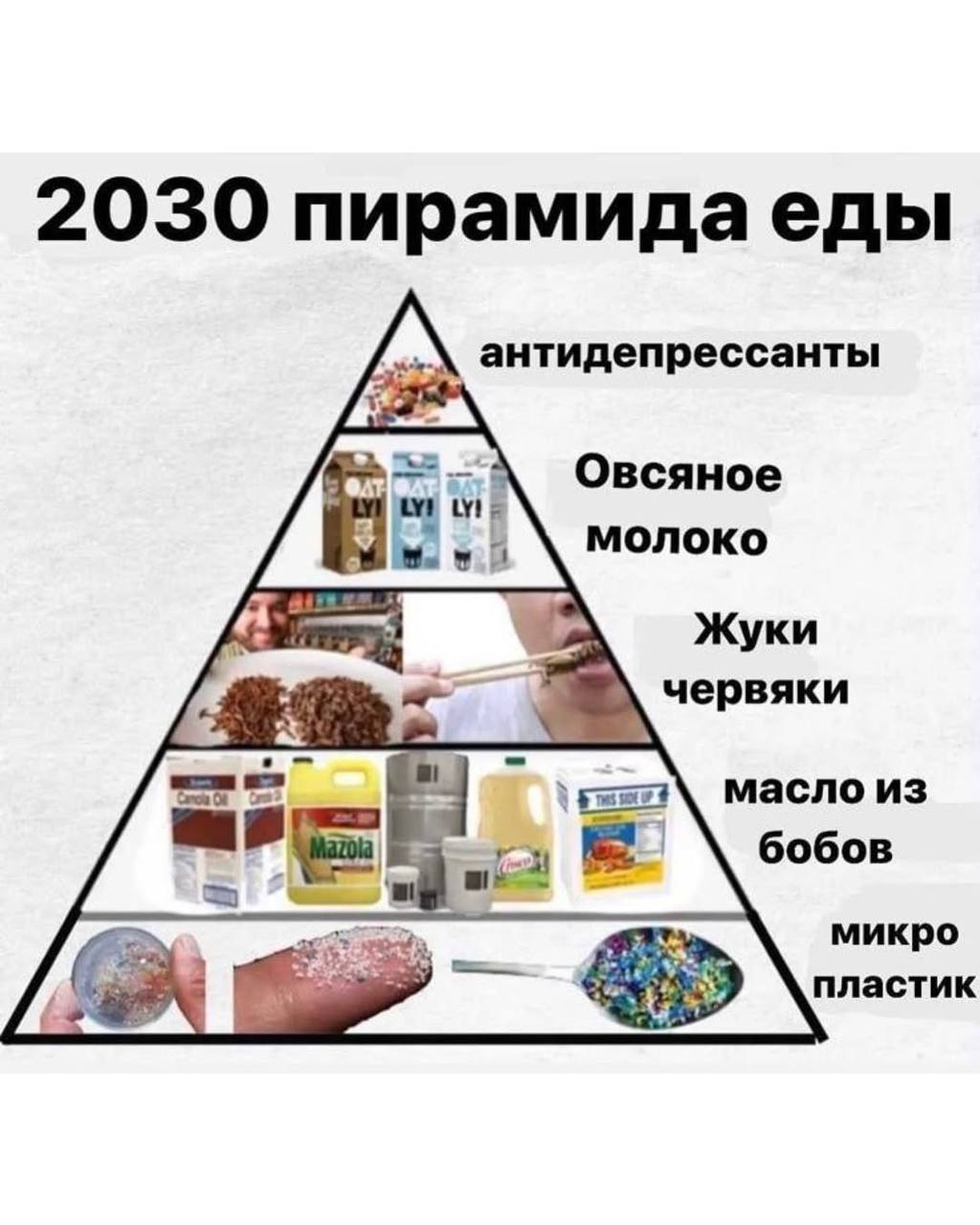 2030 пирамида еды антидепрессанты Овсяное молоко ‘Mer Жуки червяки OF масло из бобов микро at пластик
