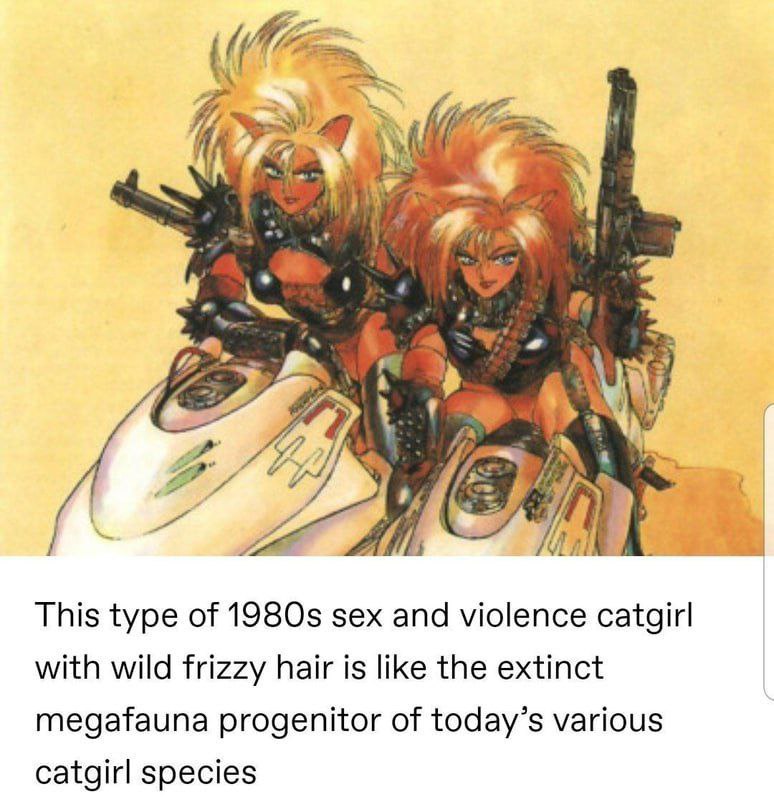 (И И 1 у This type of sex and violence catgirl with wild frizzy hair is like the extinct progenitor of today’s various catgirl species