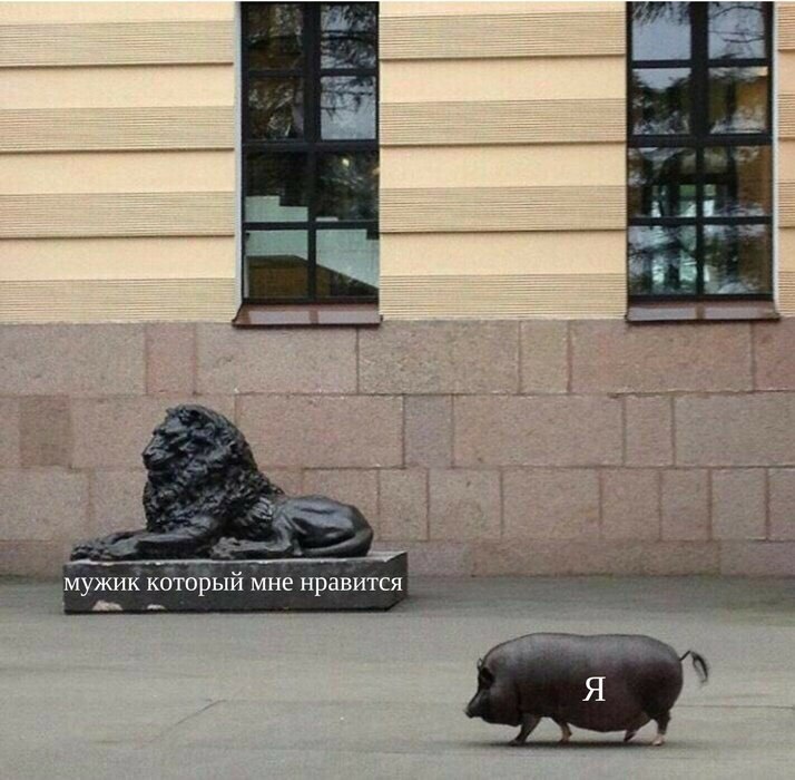 мужик который мне нравится Я