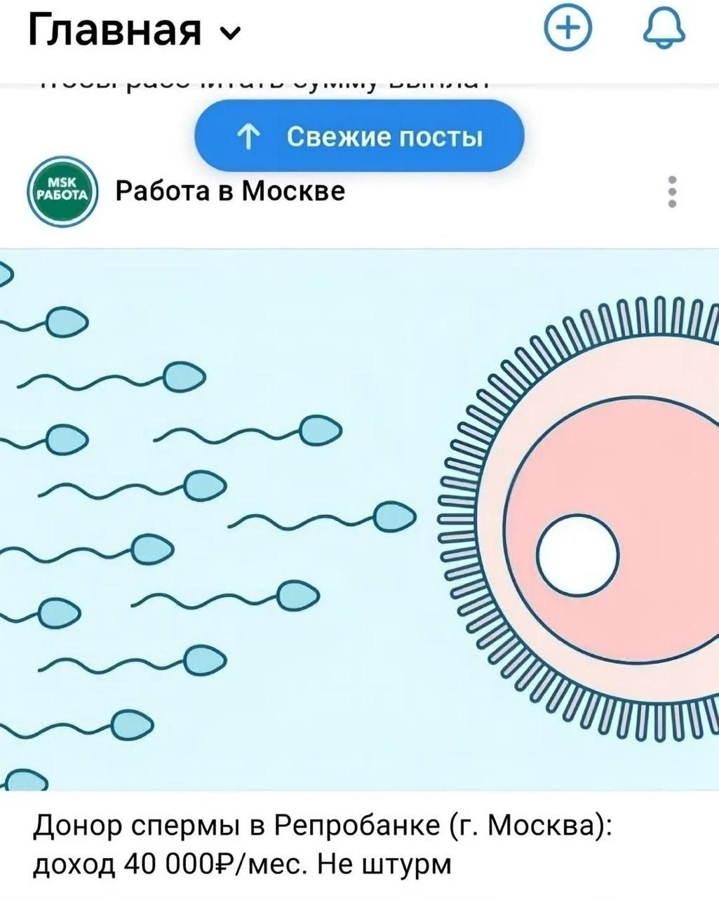 Главная ‘a Работа в Москве Донор спермы в Репробанке Москва): доход 40 000Р/мес. Не штурм
