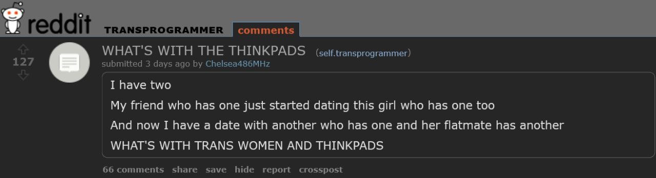 thinkpads are gay