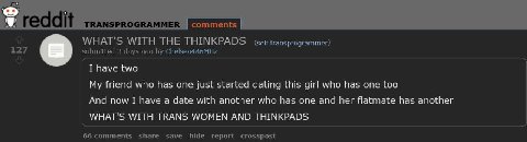 thinkpads are gay
