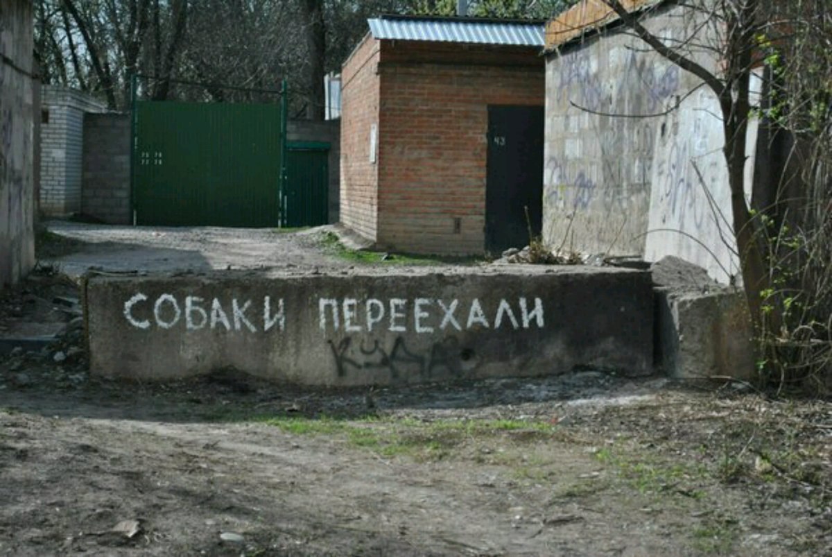 “See 4 у у 1. 4 i У я 7. я &3 у a СОБАКИ ПЕРЕЕХАЛИ opr i 3