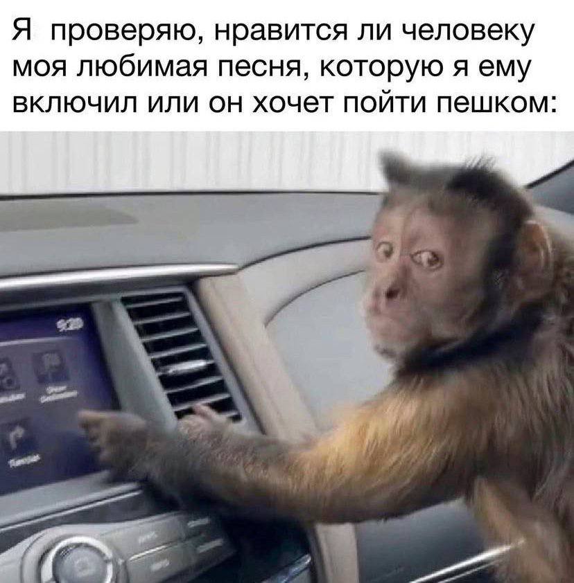 Я проверяю, нравится ли человеку моя любимая песня, которую я ему включил или он хочет пойти пешком: