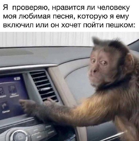 Я проверяю, нравится ли человеку моя любимая песня, которую я ему включил или он хочет пойти пешком: