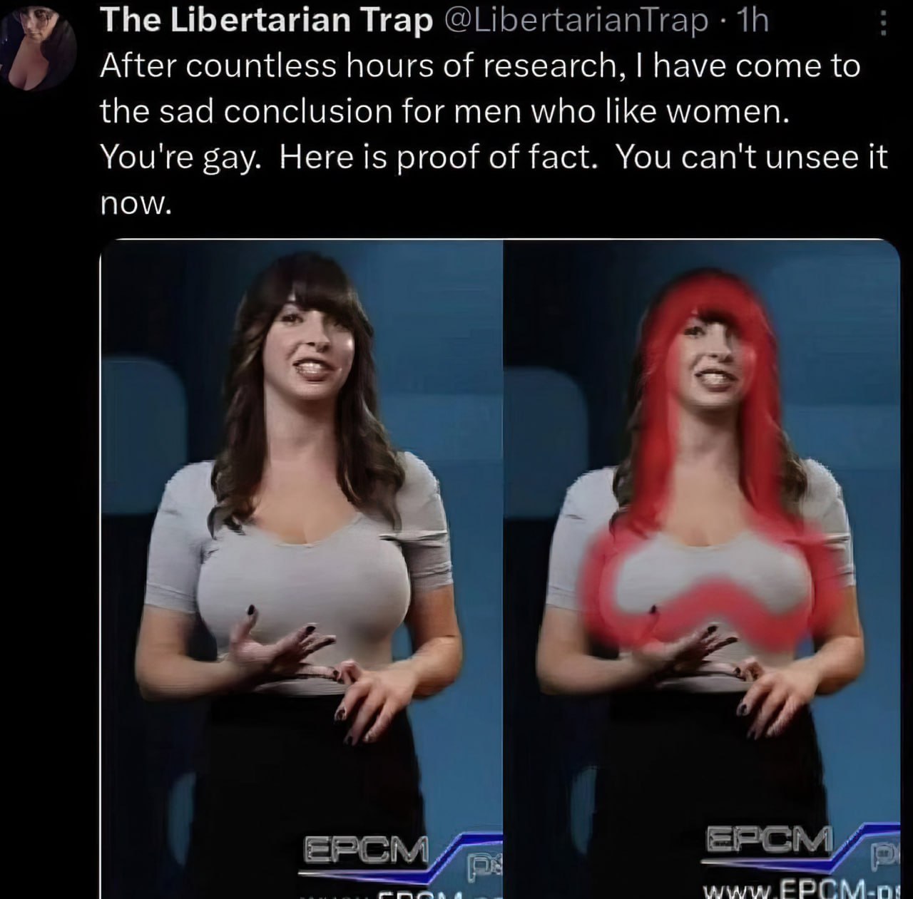 The Libertarian Тгар After countless hours of research, have come to the sad conclusion for men who like women. You're gay. Here is proof of fact. You can't unsee it now. 4