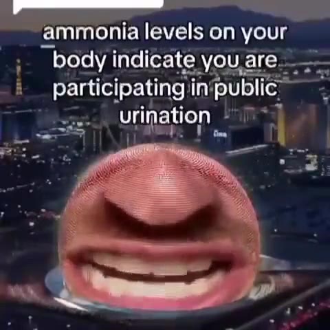 ammonia levels on your ‚ body indicate уоцаге —__— i participatingiin‘public >