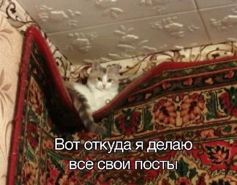 Вот откуда я делаю все свои посты