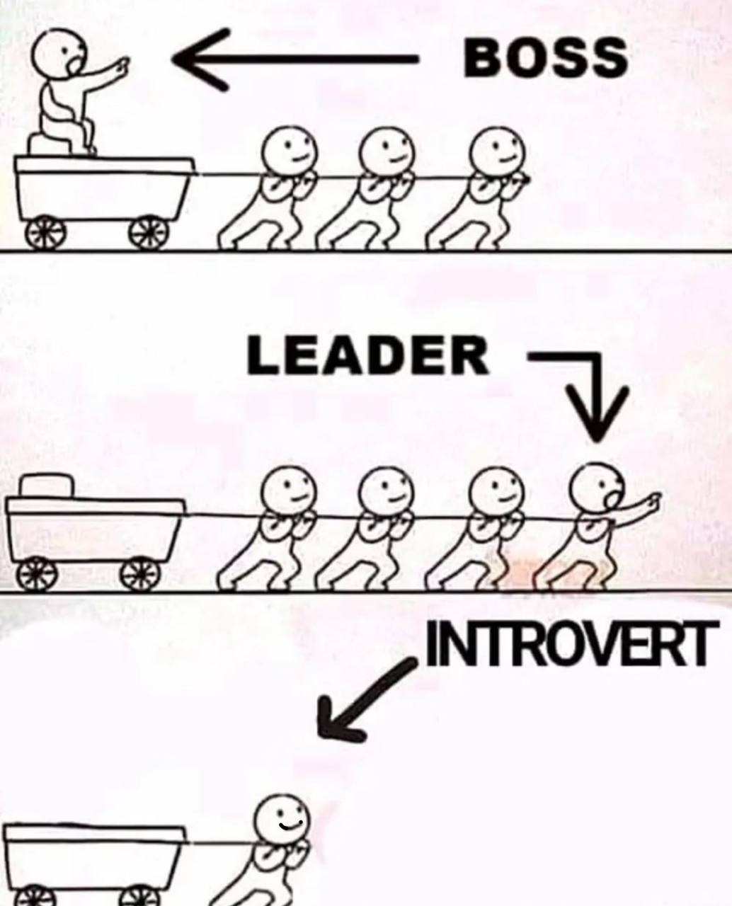 BOSS LEADER INTROVERT 74