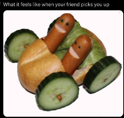 What it feels like when your friend picks you up 4