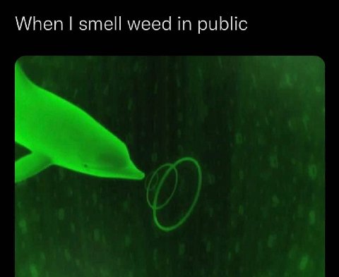When smell weed in public
