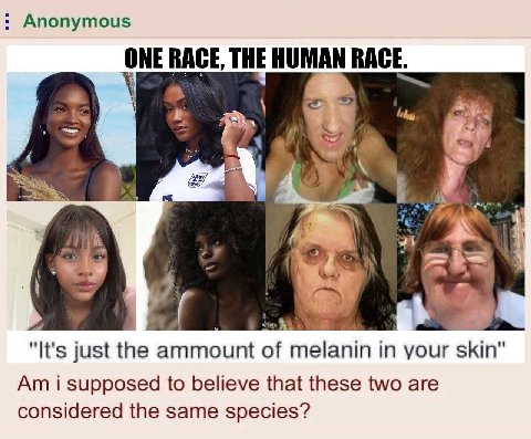 Anonymous THE HUMAN RACE. "It's just the ammount of in your skin’ i supposed to believe that these two are considered the same species?
