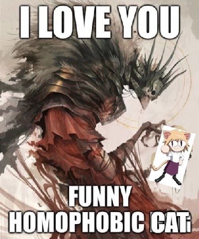 LOVE HOMOPHOBIC CAT