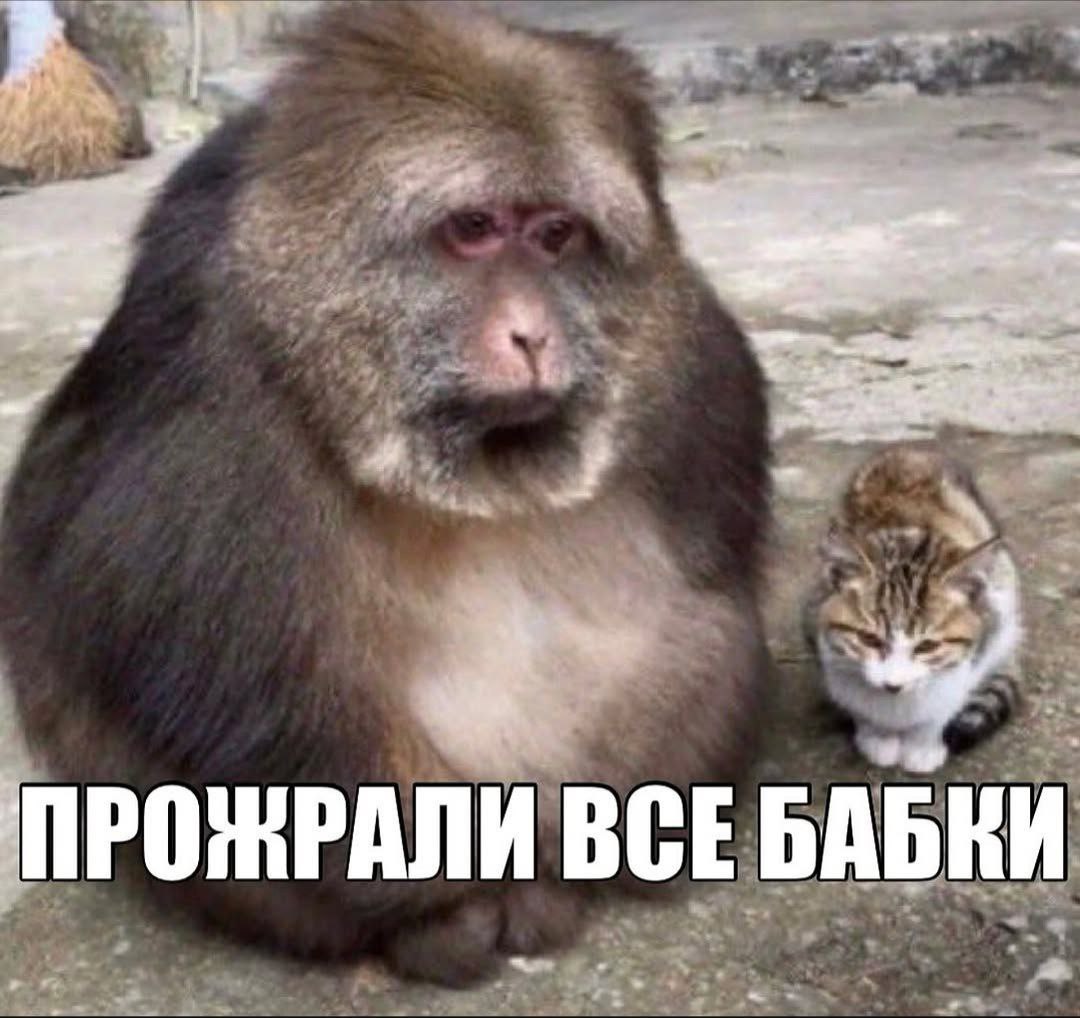 ПРОЖРАЛИ BCE
