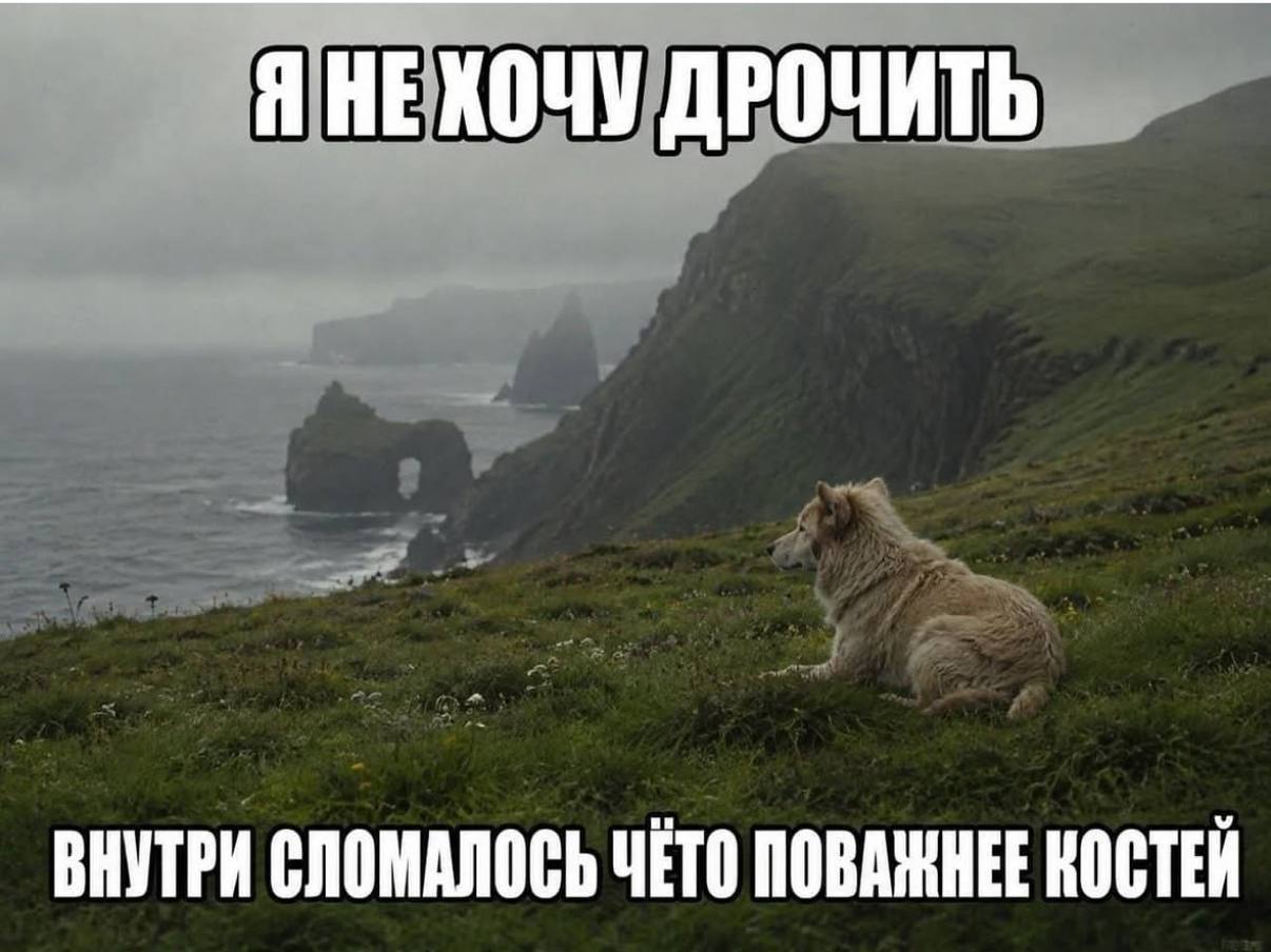 Я НЕКОЧУ ДРОЧИТЬ ВНУТРИ СЛОМАЛОСЬ ЧЁТО ПОВАЖНЕЕ КОСТЕЙ