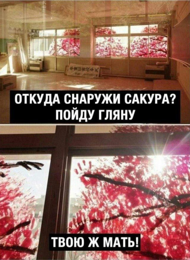 ОТКУДА СНАРУЖИ САКУРА? ПОИДУ ГЛЯНУ 4 ТВОЮ Ж МАТЬ!"