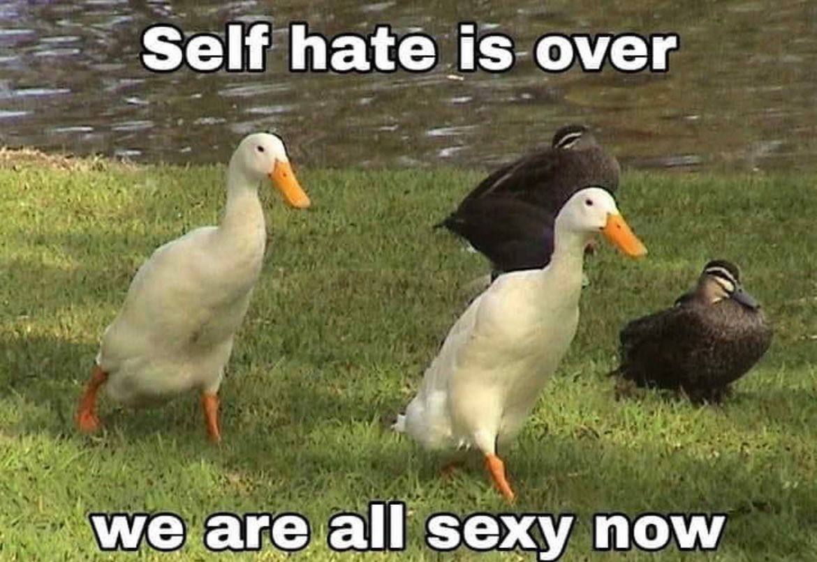 Self hate Is over 4 are all sexy now