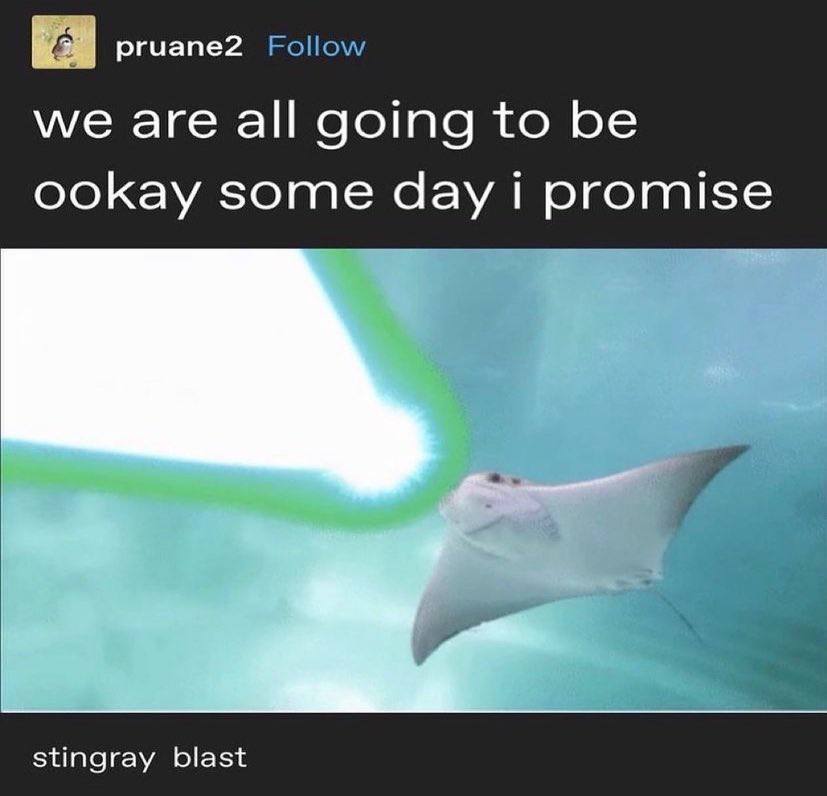 pruane2 Follow we are all going to be ookay some day promise stingray blast