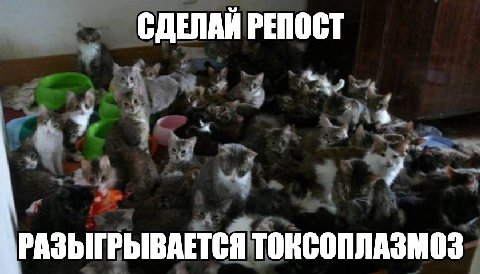 СДЕЛАЙ РЕПОСТ РАЗЫГРЫВАЕТСЯ ТОКСОПЛАЗМОЗ