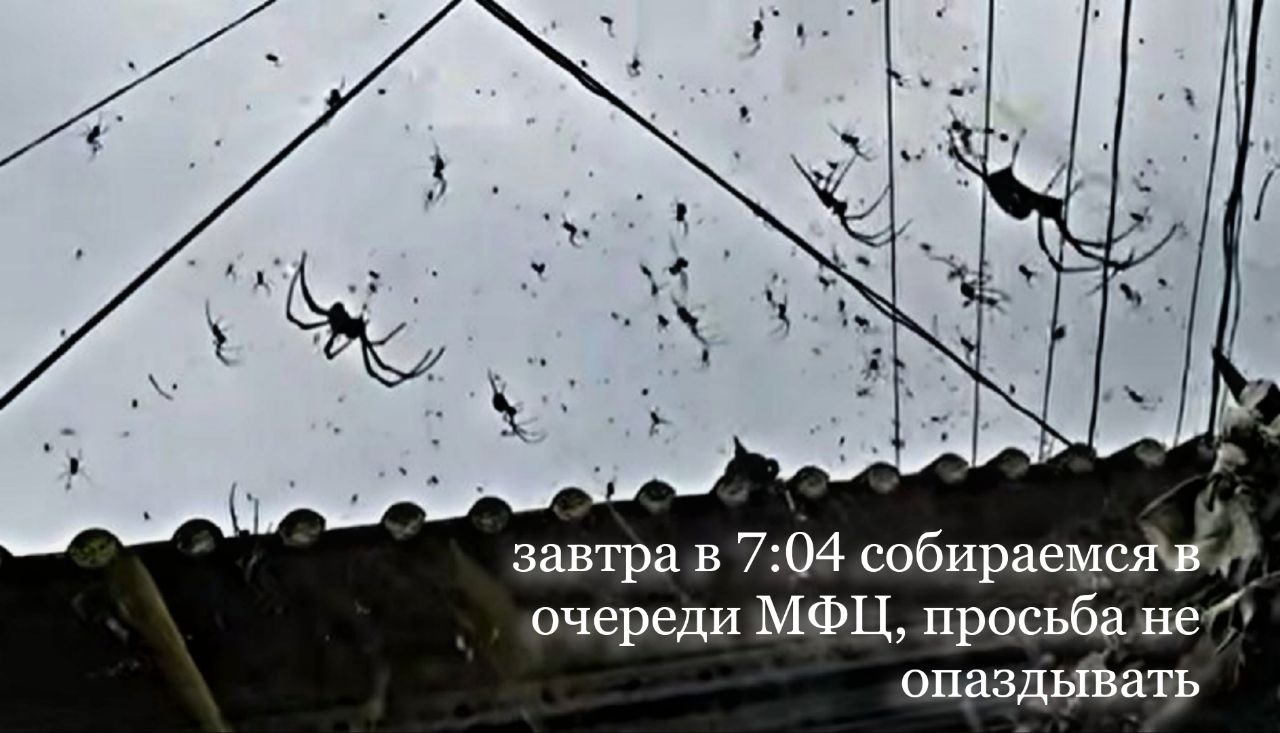 -4^ завтра в 7:04 собираемся в очереди МФЦ, просьба не опаздывать