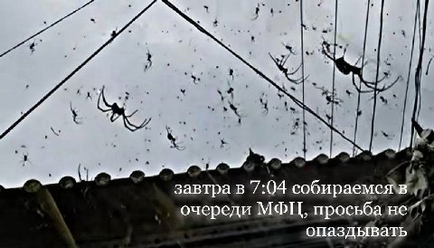 -4^ завтра в 7:04 собираемся в очереди МФЦ, просьба не опаздывать