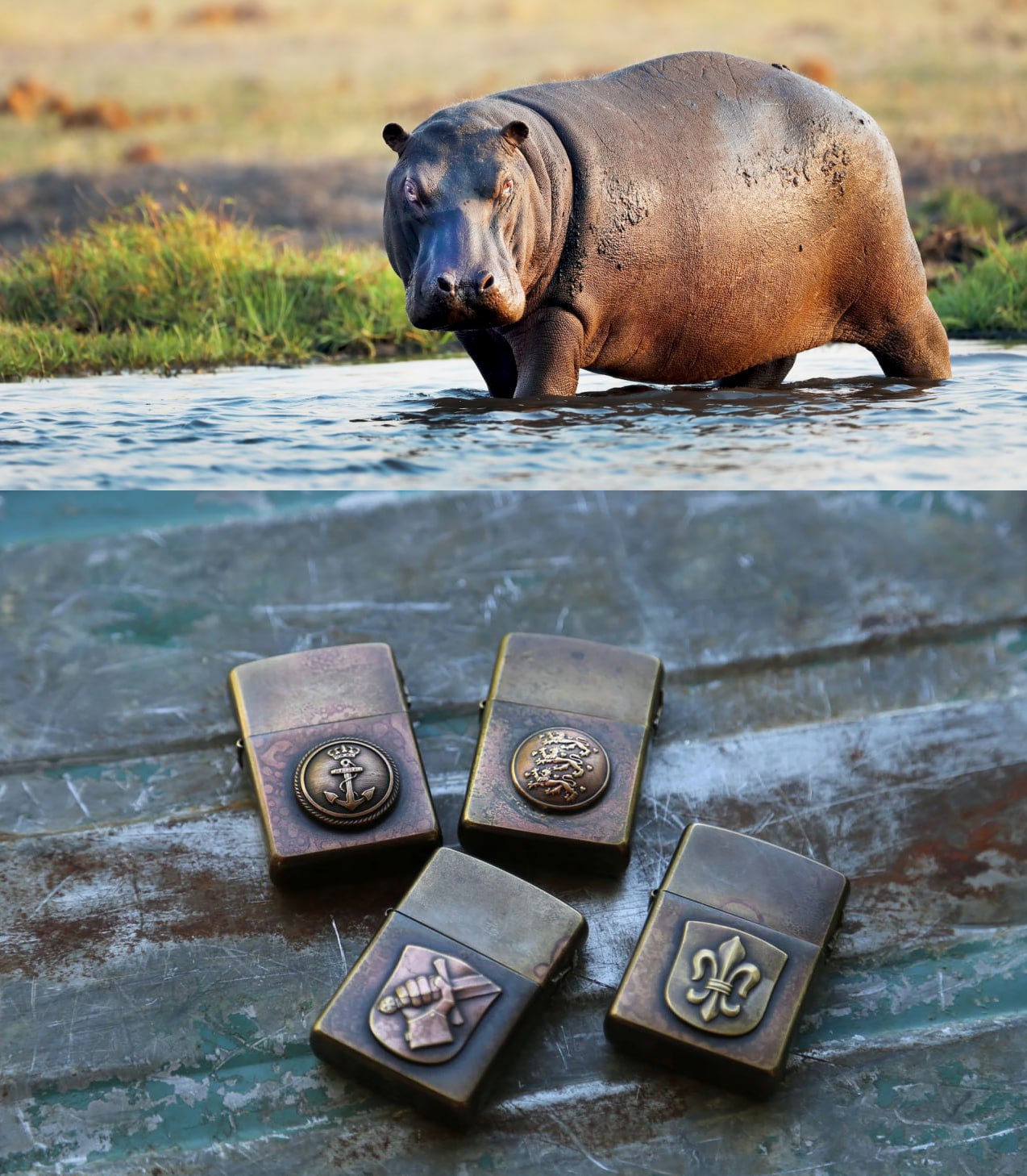 What's the difference between a hippo and a zippo?

One is quite heavy and the other is a little lighter.