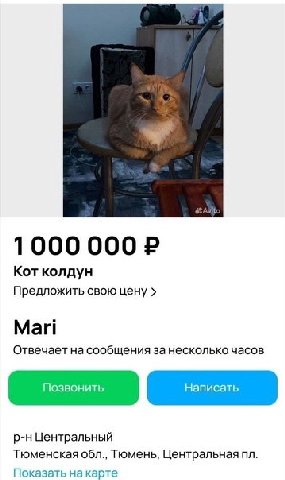 1000 000 Кот колдун Предложить свою цену Mari Отвечает на сообщения за несколько часов Центральный Тюменская обл., Тюмень, Центральная Показать на карте