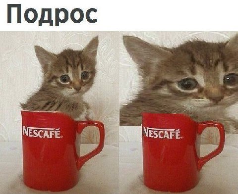 NESCAFE. NESCAFE.