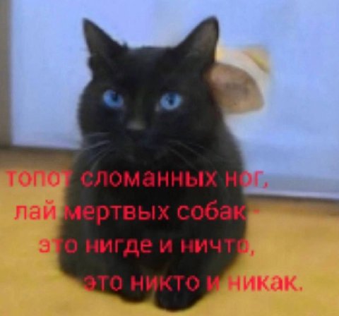 С пай 3 4
