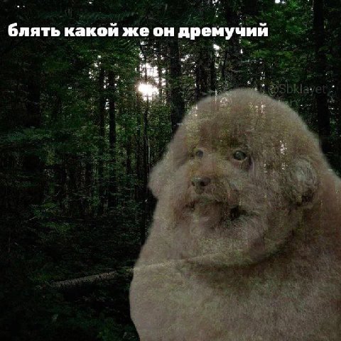 мучий блять какой жеон дре to.