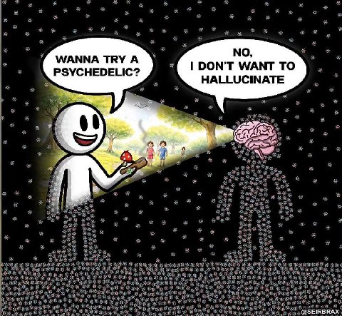 WANNA TRY А NO, PSYCHEDELIC? DON’T WANT TO HALLUCINATE @SEIRBRAX