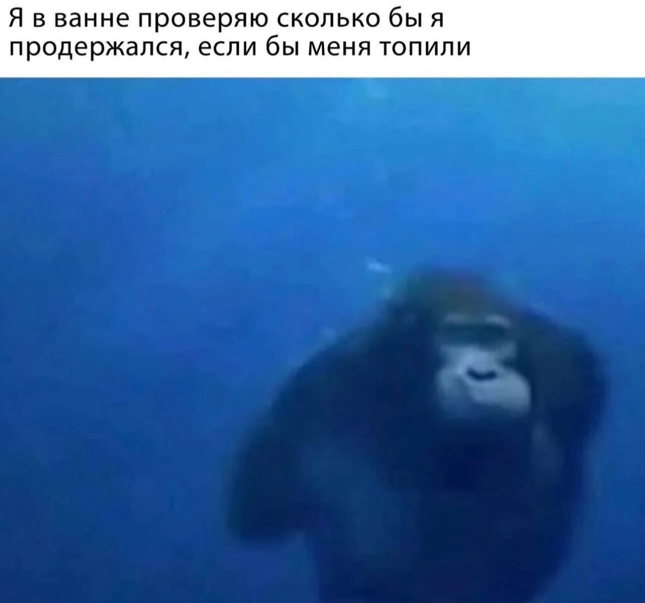 Я в ванне проверяю сколько бы я продержался, если бы меня топили