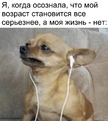Я, когда осознала, что мой возраст становится все серьезнее, а моя жизнь нет: