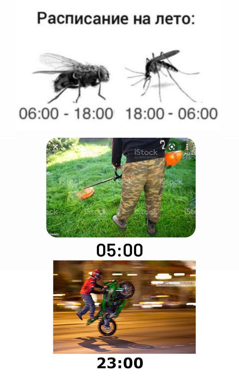 Расписание на лето 06:00 18:00 18:00 06:00 28 05 00 7 23 00