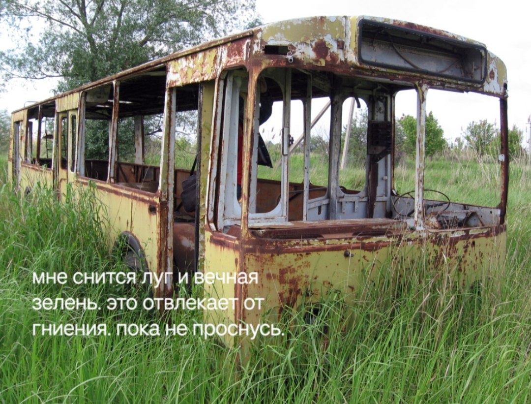 4 мне снится луг и вечная зелень. это отвлекает от гниения. пока не проснусь.