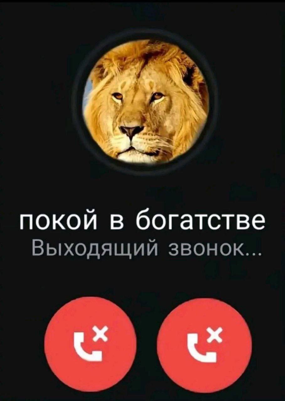покой в богатстве Выходящий звонок...
