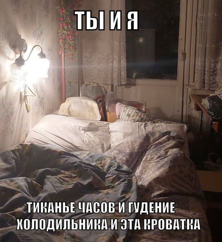 ТИКАНЫЕ ЧАСОВ И ГУДЕНИЕ ХОЛОДИЛЬНИКА И ЭТА НРОВАТНА