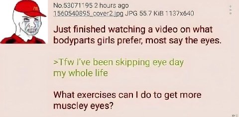 No.53071195 2 hours ago 1560540895 cover2.jpg JPG 55.7 KiB Just finished watching a video on what bodyparts girls prefer, most say the eyes >Tfw I've been skipping eye day my whole life What exercises
