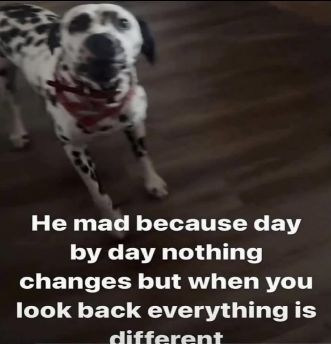 Не mad because day day nothing changes but when you look back everything is