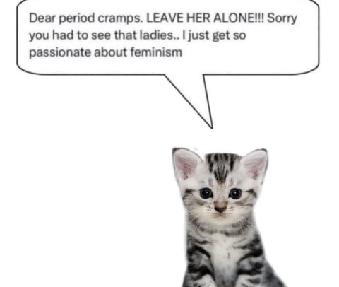 Dear period cramps. LEAVE HER ALONE!!! Sorry you had to see that ladies.. just get so passionate about feminism a