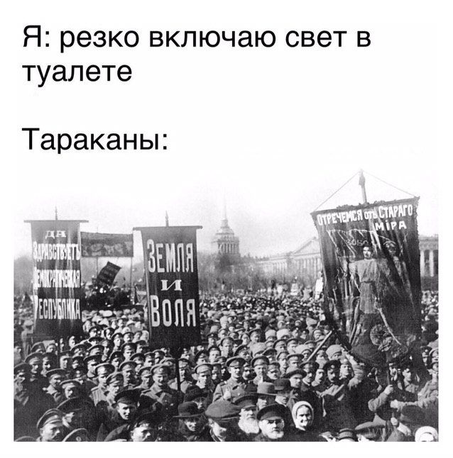 Я: резко включаю свет в туалете Тараканы: a