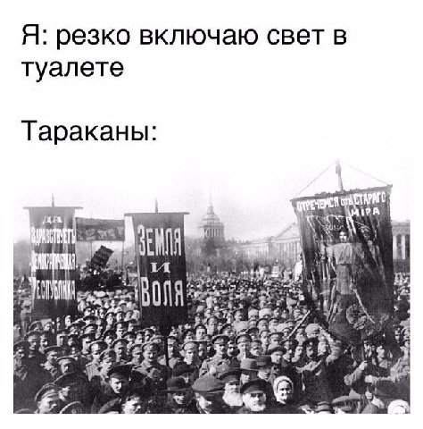 Я: резко включаю свет в туалете Тараканы: a