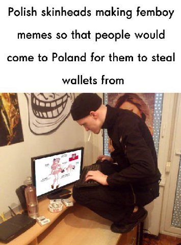 Polish skinheads making femboy memes so that people would come to Poland for them to steal wallets from