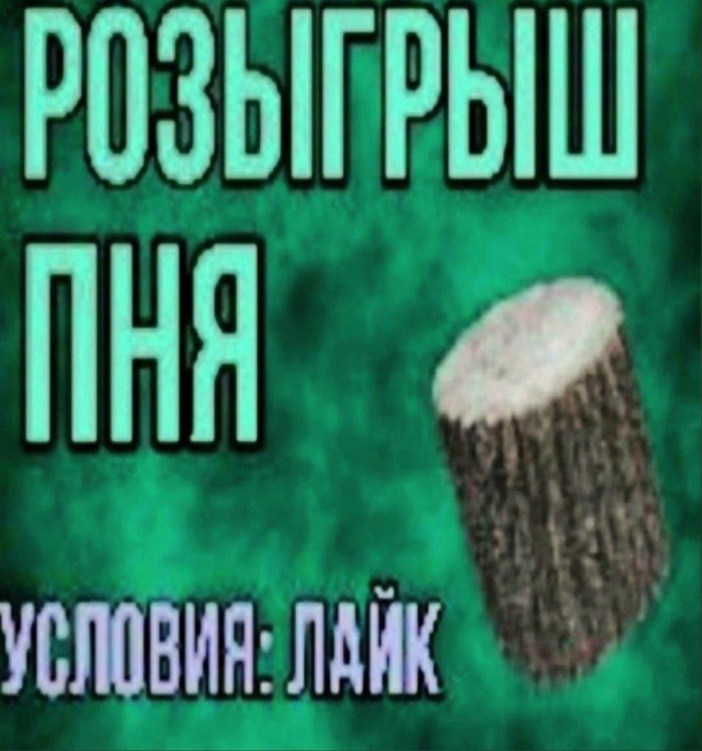 РОЗЫГРЫШ УСЛОВИЯ. ЛАИК