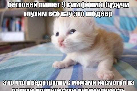 бетховен пишет 9 глухим BCG Bay это шедевр а то что я веду группу с мемами