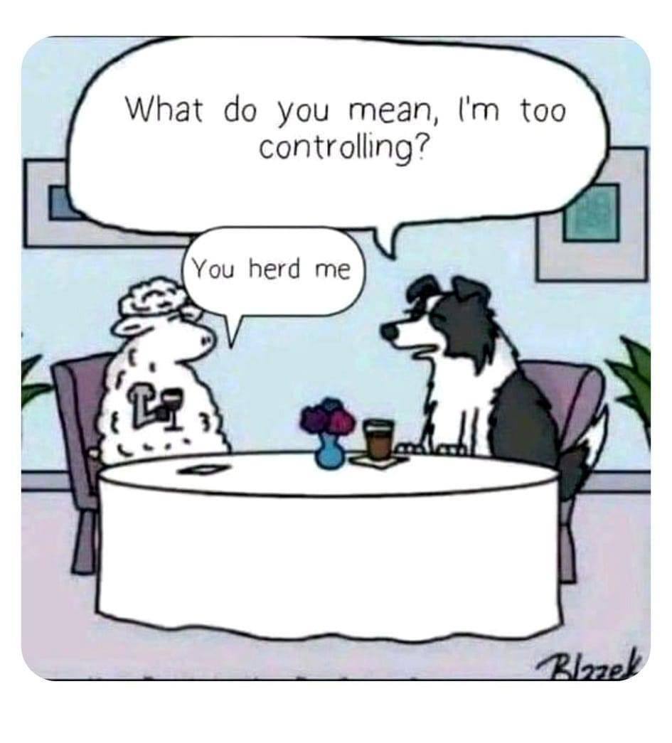 What you mean, too controlling? You herd me