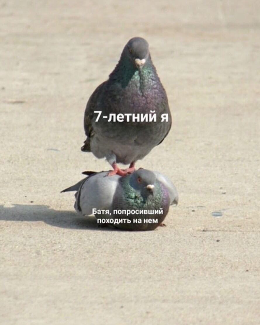 2 7-летний я попросивший походить нанем