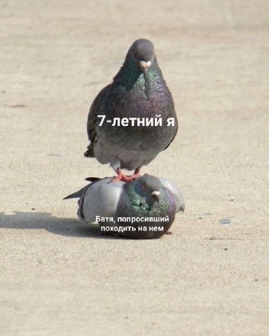 2 7-летний я попросивший походить нанем