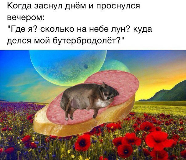 Когда заснул днём и проснулся вечером: "Где я? сколько на небе лун? куда делся мой бутербродолёт?" 2